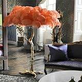 AAADRESSES Led Floor Lamp, With Feather Shade, With Safe Square Base Resin Floor Lamp, Bedroom Floor Lamps Modern Style, For Living Room, Home Lighting,Orange,100 * 120cm