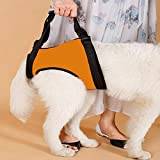 Front and rear legs dog sling support walker, dog lifting seat belt, pet safety care for senior disabled dogs with joint injuries, walking