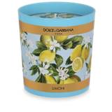 Dolce & Gabbana - doftljus med citrontryck (250 g) - unisex - papper/bomull/Glas/vax/perfum (fragrance) - one size - Blå