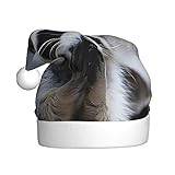 Tomteluva söt tvättbjörn tryck plysch julhatt unisex jul högtid hatt till jul nyår festlig högtid fest fest