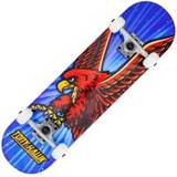180 Signature Series - King Hawk Mini Complete Skateboard