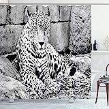 ABAKUHAUS Djungel Duschdraperiet, Wild Tiger Jaguar, Badrumsdekor med tygtyg med krokar, 175 cm x 200 cm, Svart vit
