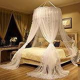 Dome Princess Bed Canopy, Girl Bed Canopy Gardin- Dubbellager Sheer Mesh Bed Gardin- Princess Tent Mygga (Vit 1,5 M)