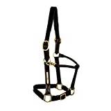 Leather halter for horse quilted skin Tattini