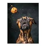 Artery8 Funny Boxer Dog Lover Treat Catch Photo For Living Room Unframed Wall Art Print Poster Home Decor