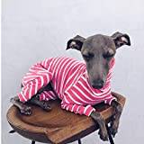 Big Dog Jumpsuit Stripe Hundkläder Fyrbenta långhalsade pyjamas Hundkläder för små hundar Varma mjuka hundar-kläder-husdjur