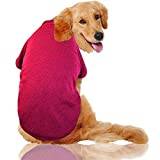 Big Dog Clothes Winter Large Size Pet Clothing Golden Retriever Dog Coats Solid Sweatshirt For Dogs Pets Costume 3XL-9XL