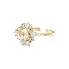 Lily And Rose Emily Ring - Golden Dreams (Guld) 30653
