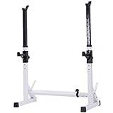 Squat Stand Dipping Station Gym Weight Bench Press Stand Rack Squat Bench Press Multifunctional Shelf Adjustable Bracket Indoor Home Gym Strength Training Stand Fitness Barbell Rack for Men Squat