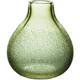 Dandelion Vas, Grön - Vas Vitreum