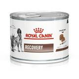 Våt mat Royal Canin Recovery Fåglar Gris 195 g