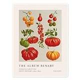 The Album Benary - Tomato Varieties Poster av Ernst Benary 30 x 40 cm Orange Presentidéer Väggdekoration