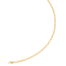 Halsband – pansarlänk i gult guld Guldfärgad