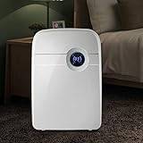 Dehumidifier With Remote Control 320 Sq. Ft 0.7-1.4 Pint 2500ML Water Tank Home Mute Moisture Absorbers Air Dryer (80W) ()