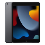 Apple 10.2-inch iPad Wi-Fi - 9:e generation - surfplatta - 256 GB - 10.2" IPS (2160 x 1620) - rymdgrå