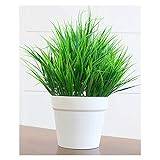 Fake Plants Artificial Plant Classic Potted Plant Suitable for Home Office Indoor and Outdoor Artificial Plant Decoration Green Artificial plants for