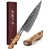 HEZHEN Professionell Kökskniv, 67 Lager Damaskus Stål Kockkniv, Japansk Stil Gyuto Kniv, Figurerad Sykomor Trähandtag Matlagningsverktyg
