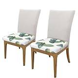 BeNtli Fyrkantiga pallskydd, 2-pack bekväma sätesöverdrag stretch stol överdrag stolskydd, gröna löv vit
