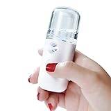 Bärbar Facial Steamer,Bärbar mini ansiktsångare - USB uppladdningsbar Facial Mister, fuktgivande för hudvård, 30 ml visuell vattentank Zhenpin