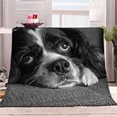 Fleecefilt djur hund svart 180 x 200 cm mångsidig mjuk varm filt, överkast för soffa fluffig filt sängöverkast för sovrumssoffa, mysig flanellfilt för resor