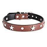 Star Studded Pet Dog Collar Leather Puppy Collar för Små Medium Dogs Cat Halsband Pet Supplies Chihuahua Collar S / M / L