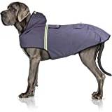 Bella & Balu Hundregnkappa – vattentät hundrock med huva och reflexer för torra, säkra promenader, hundlekplatser och semester med hund (XL | grå)
