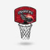 Basketkorg mini SK100 Dunkers Junior/vuxen Orange/grå