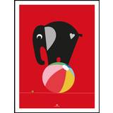 Elephant - Red Poster (50x70 cm)
