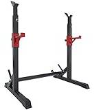 Barbell Rack/Squat Rack, Max.Load 260 Kg, Adjustable Press Bench Power Weight Bench Support for Home/Gym Squat Stands