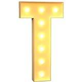 Batteridriven Light Up Letter Lights, Förskuren Ram LED-lampa, For Födelsedagar, Barndop, Bröllop, Jul (Color : T, Size : 3.2ft/100cm)