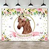 Cowgirl häst födelsedag bakgrund rosa blommig fjäril cowgirl västerländsk häst fotografi bakgrund rodnad rosa sadel fest 300 x 200 cm