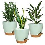 zerotop Krukor för självbevattnande växter Set om 3, 16,5 cm krukväxter med dräneringshål, moderna dekorativa plastkrukor för suckulenter lila ormväxter afrikansk och kaktus