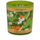 Dolce & Gabbana - blommigt doftljus (250 g) - unisex - perfum (fragrance)/vax/Glas/papper/bomull - one size - Grön