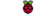 Raspberry Pi Logotyp