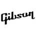 Gibson Akustisk gitarr