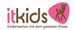 Babyshop-itkids Logotyp