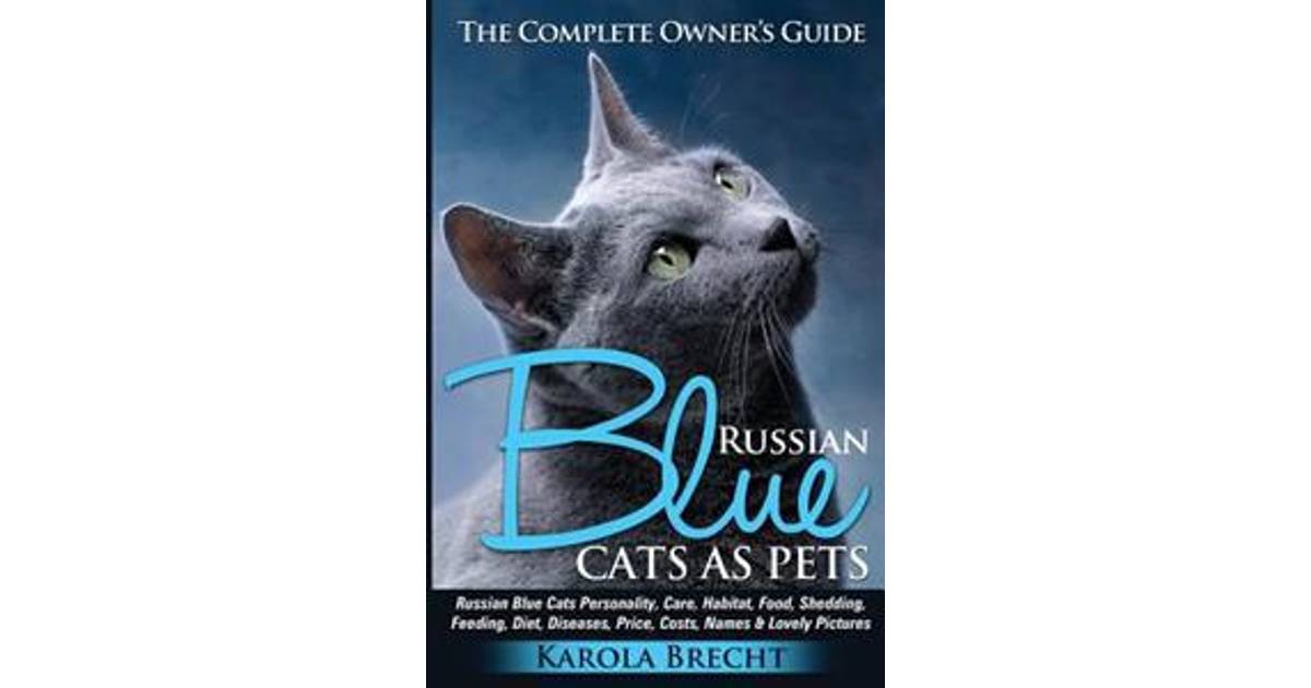 Russian Blue Cats as Pets. Personality, Care, Habitat ...
