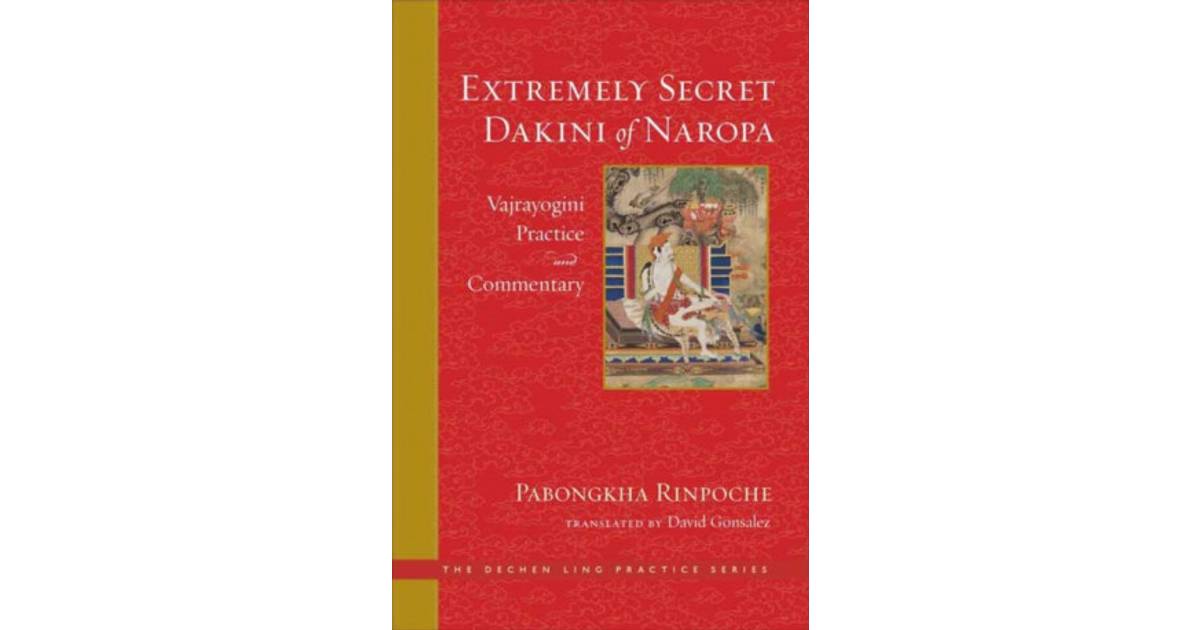 The Extremely Secret Dakini of Naropa Vajraygogini... (Bog, Hardback)