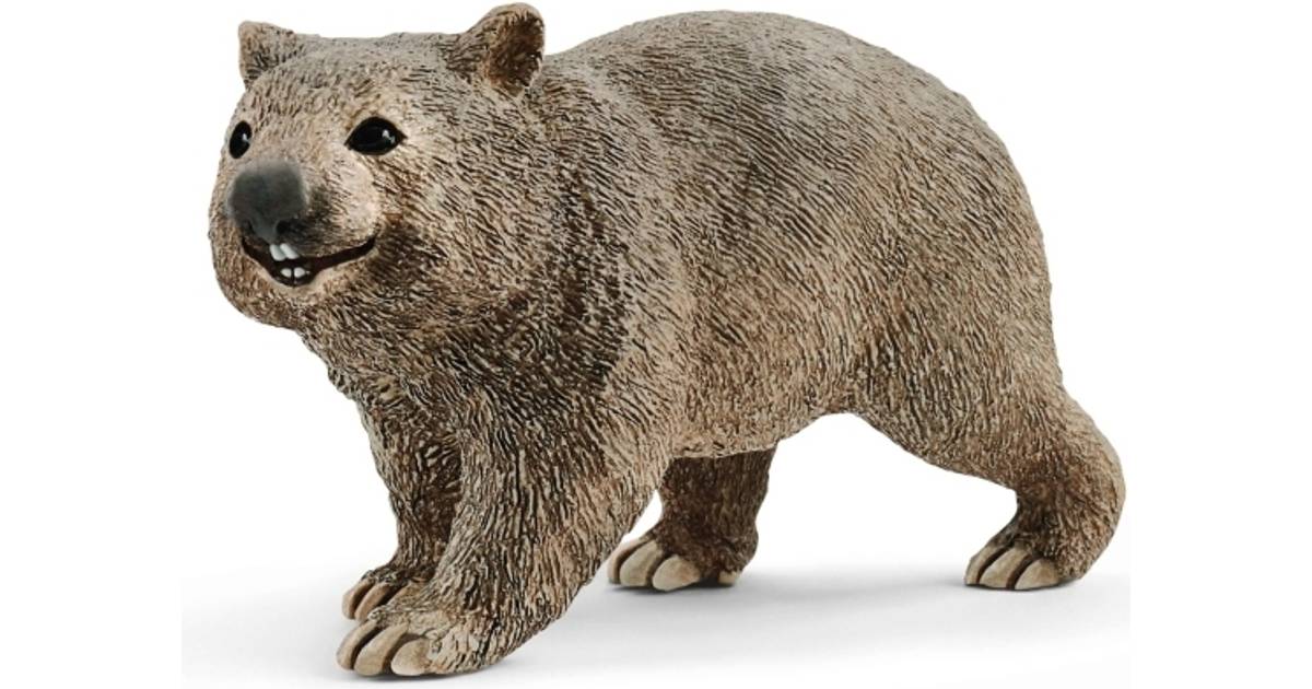 Schleich Wombat Plastique Solide Wild Zoo Australien Animal nouveau 