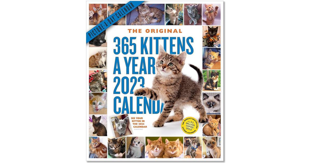 Workman 365 Kittens A Year Picture A Day Wall Calendar Pris