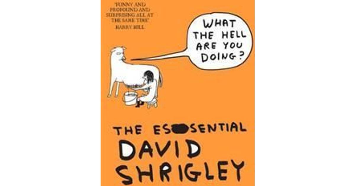 What The Hell Are You Doing The Essential David Shrigley Haftad 12