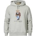 Polo bear hoodie • Se (100+ produkter) hos PriceRunner »