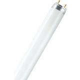 Lysrör Osram Lumilux T8 Fluorescent Lamp 15W G13 827