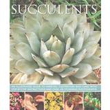 Succulents (Häftad, 2015)