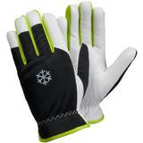 Precision Arbetskläder & Utrustning Ejendals Tegera 235 Glove