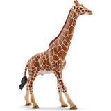 Giraffer Figuriner Schleich Giraffe Male 14749