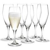 Holmegaard Perfection Champagneglas 23cl 6st