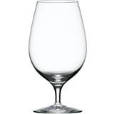 Glas Orrefors Merlot Ölglas 60cl