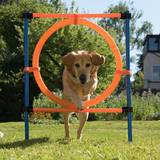 Zooplus Hundar - Hundfoder Husdjur Zooplus Agility Fun & Sport hoppring