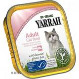 Yarrah Katter Husdjur Yarrah Organic Wellness Paté - Nötkött med cikoria 0.6kg